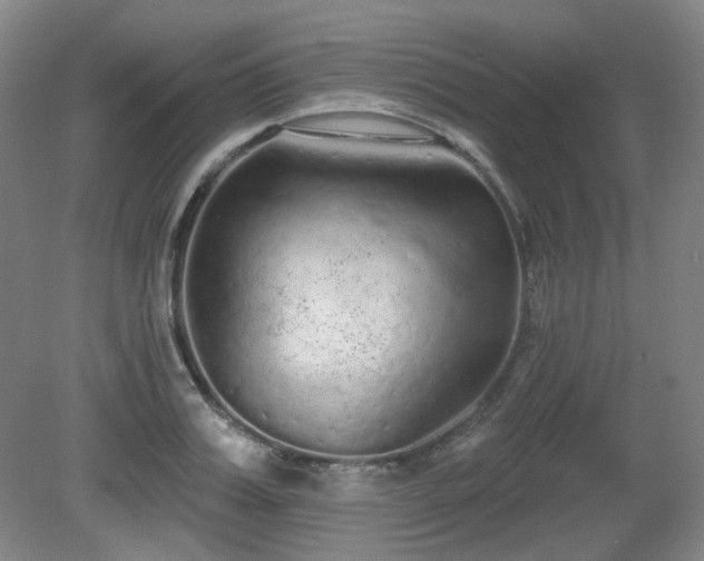 X0000080670987200612151152