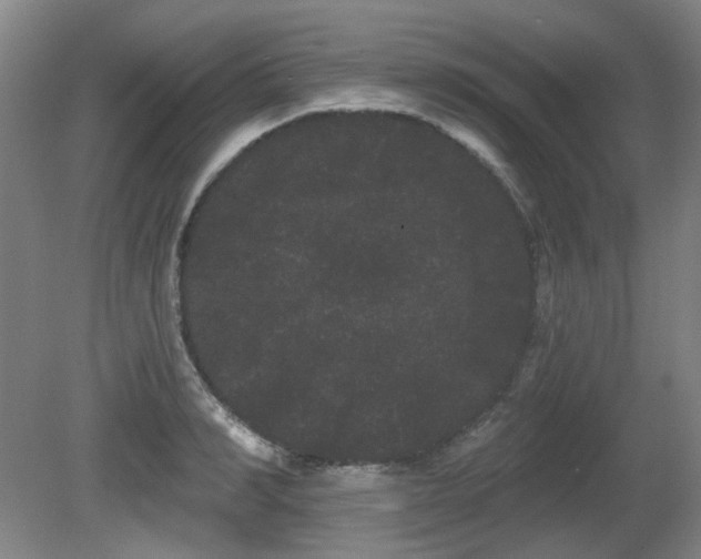 X0000080670990200612151152