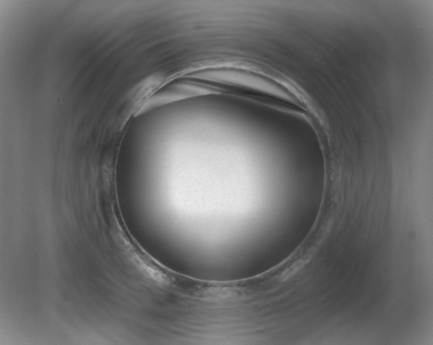 X0000080670993200612151152