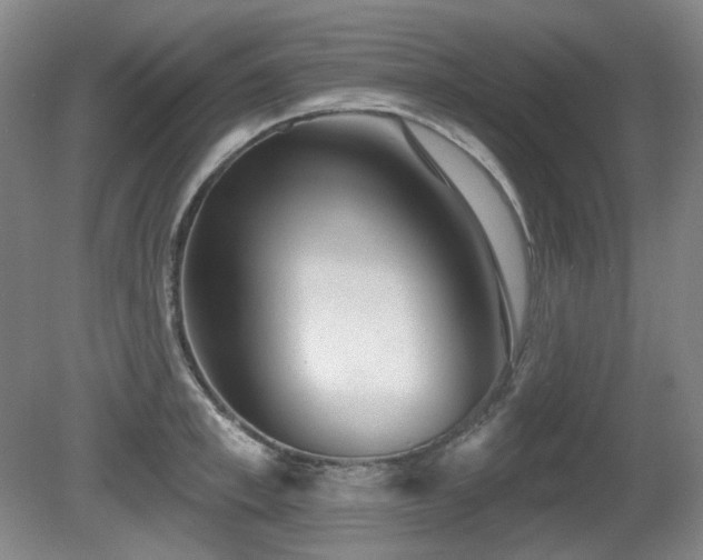 X0000080670997200612151152