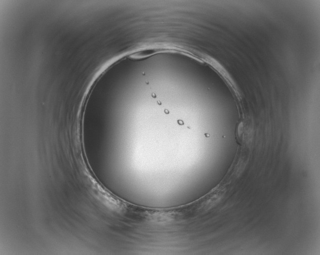 X0000080671004200612151152