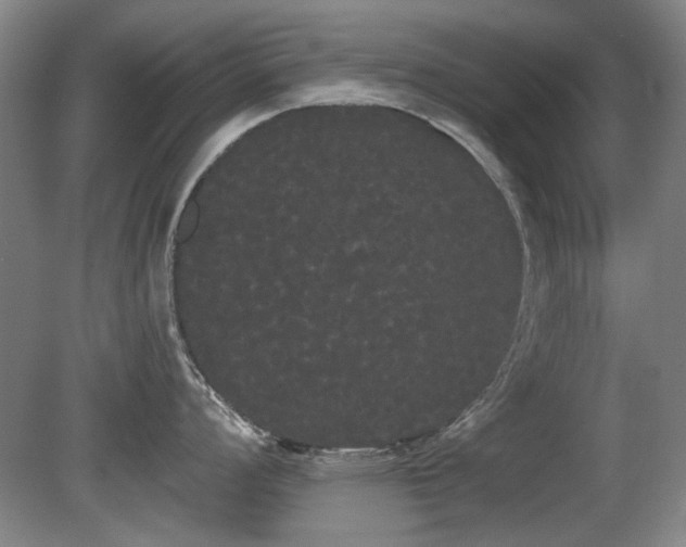 X0000080671008200612151152