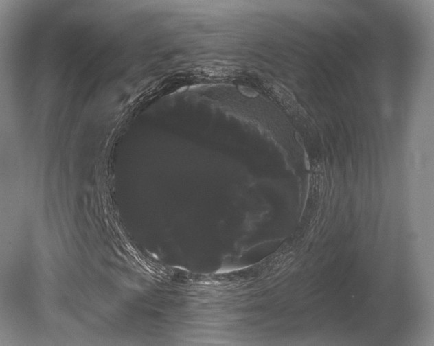 X0000080671009200612151151