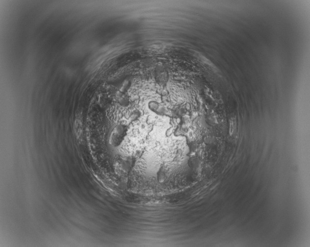 X0000080671011200612151151