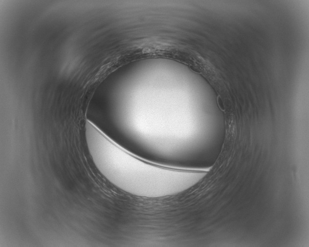X0000080671012200612151151