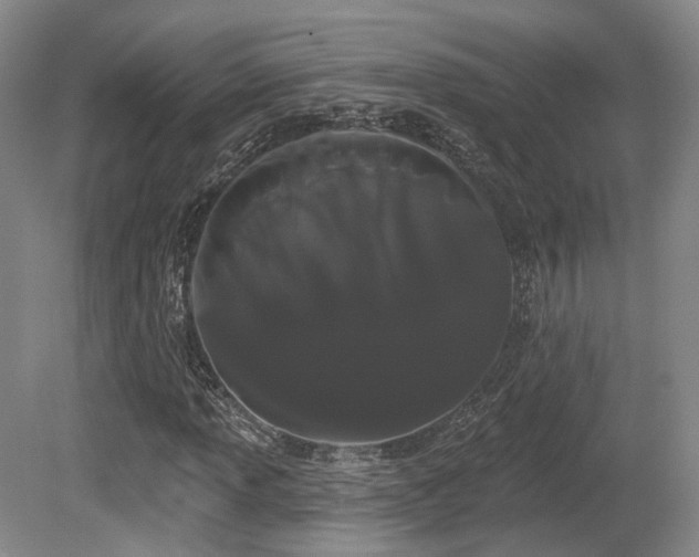 X0000080671013200612151151