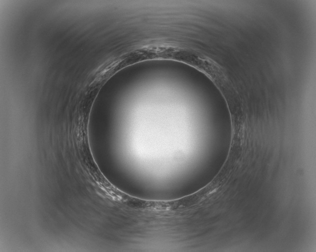 X0000080671014200612151151