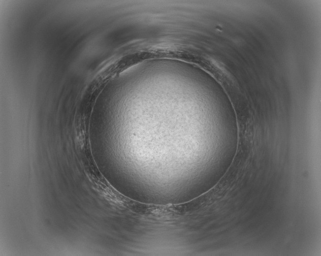 X0000080671015200612151151
