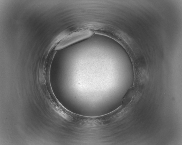 X0000080671018200612151151