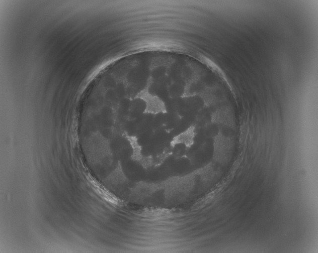 X0000080671019200612151151