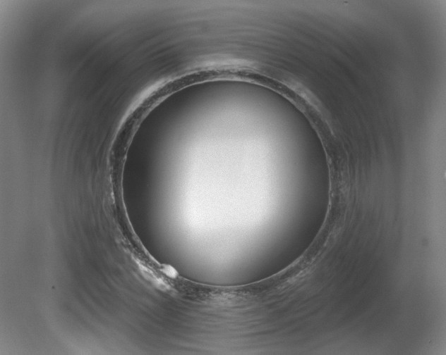 X0000080671022200612151151