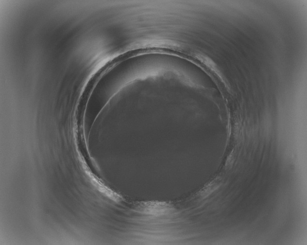 X0000080671024200612151151