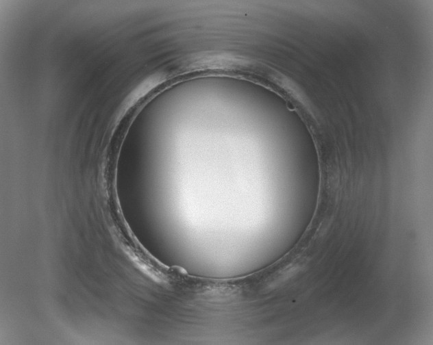 X0000080671026200612151151