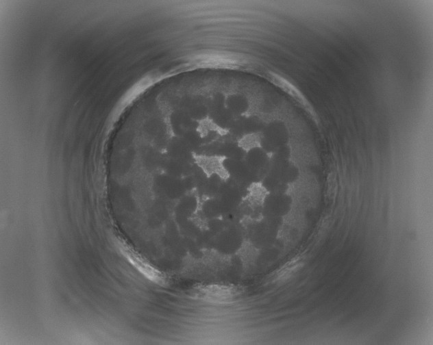 X0000080671027200612151151