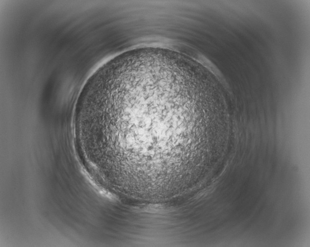 X0000080671028200612151151