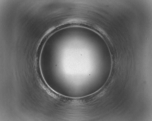 X0000080671029200612151151