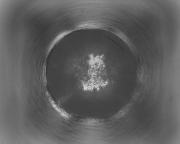 X0000080671030200612151151