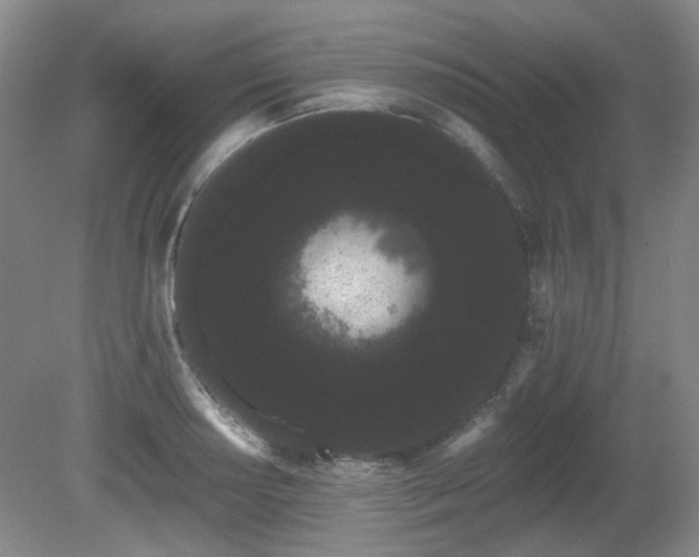 X0000080671034200612151151