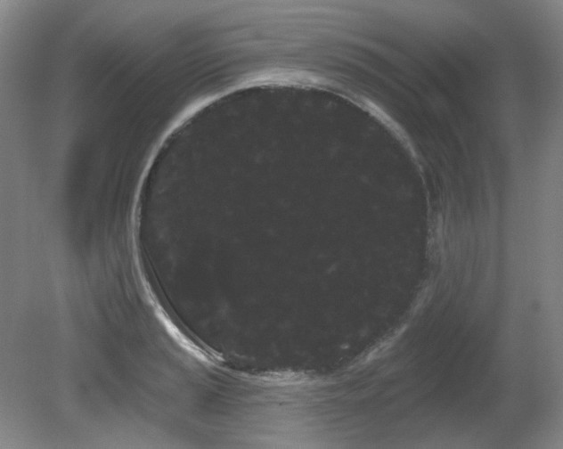 X0000080671037200612151151