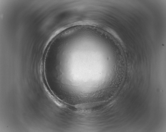 X0000080671040200612151152