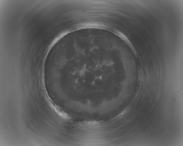 X0000080671043200612151152