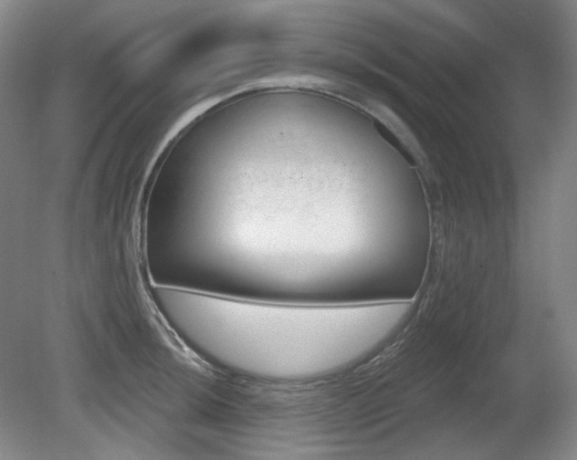 X0000080671044200612151152
