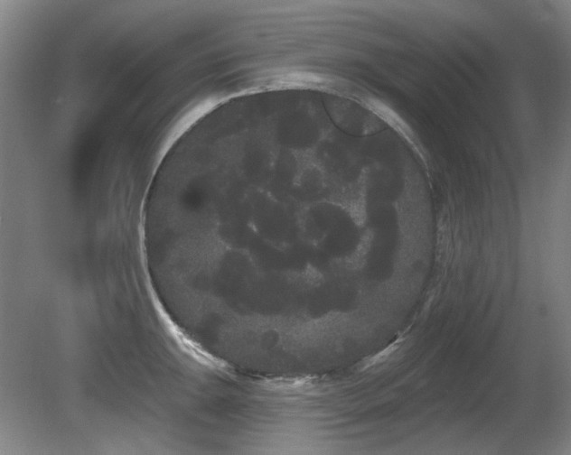 X0000080671047200612151152