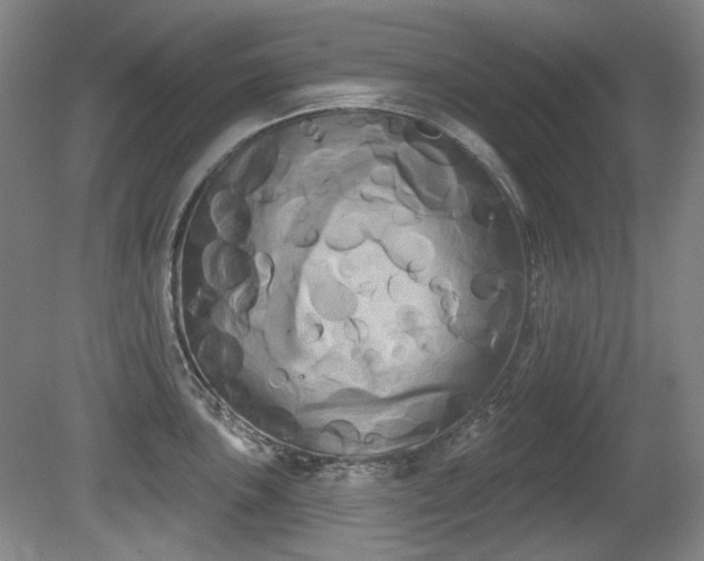 X0000080671051200612151152