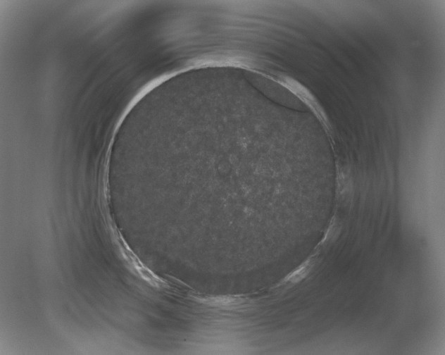 X0000080671052200612151152