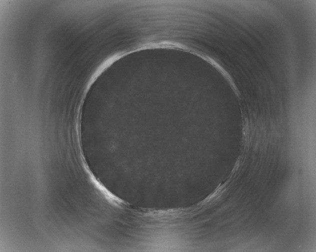 X0000080671054200612151152