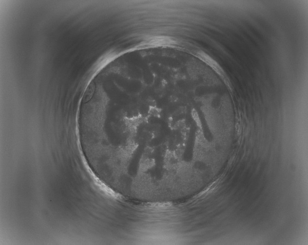 X0000080671055200612151152