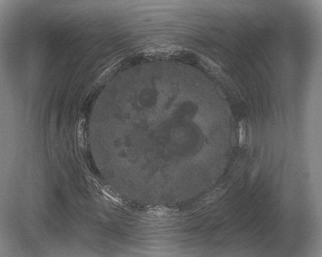X0000080671059200612151151