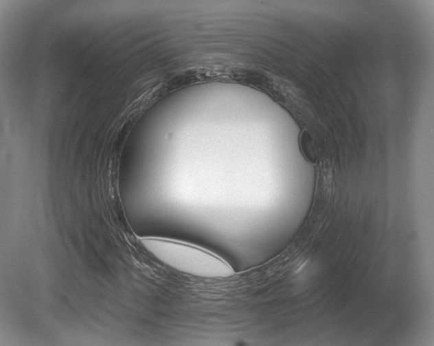 X0000080671060200612151151
