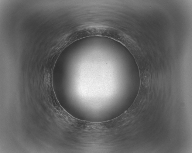 X0000080671061200612151151
