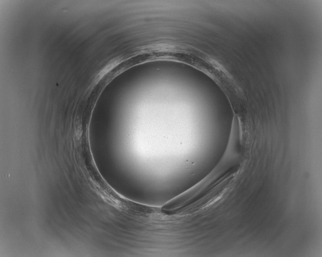 X0000080671065200612151151
