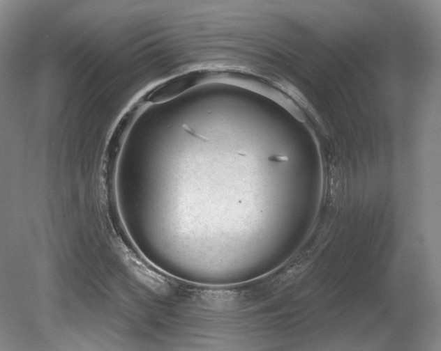 X0000080671068200612151151
