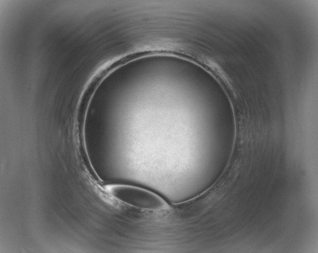 X0000080671072200612151151
