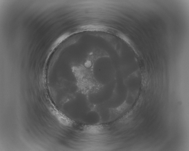 X0000080671074200612151151