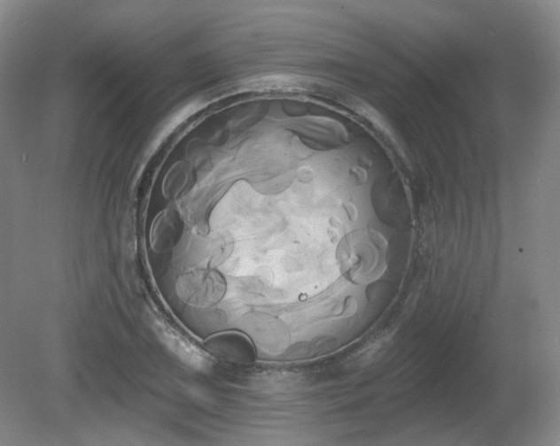 X0000080671075200612151151