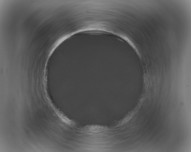 X0000080671077200612151151