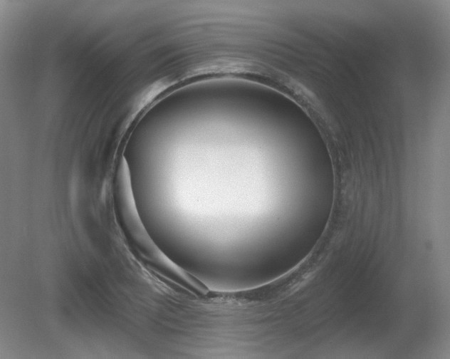 X0000080671081200612151151