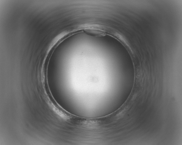 X0000080671082200612151151