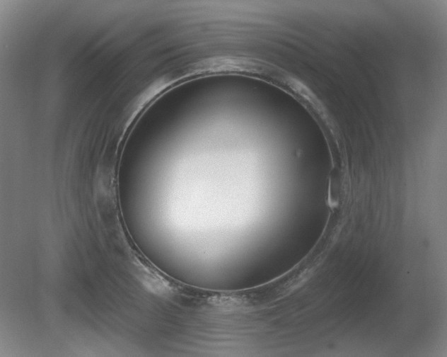 X0000080671089200612151150