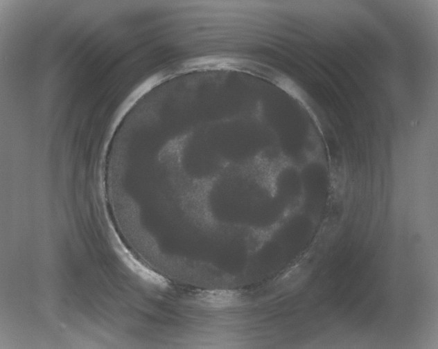 X0000080671090200612151150