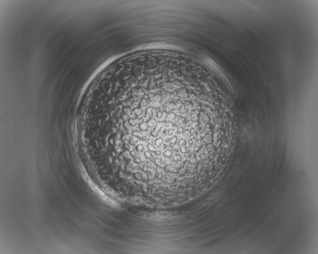 X0000080671092200612151150