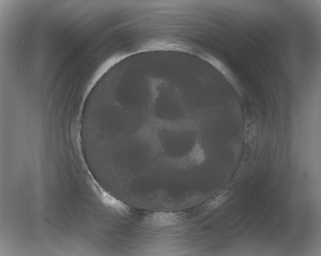 X0000080671094200612151150
