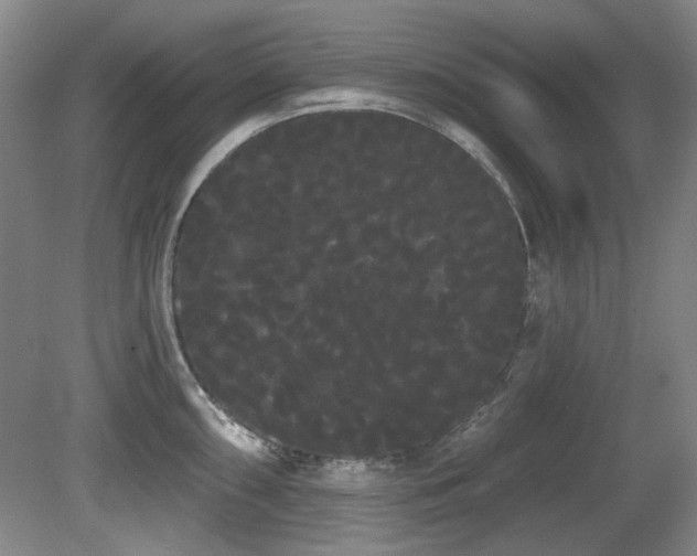 X0000080671098200612151150