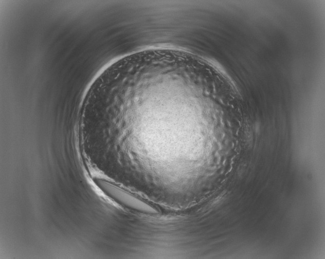 X0000080671100200612151150