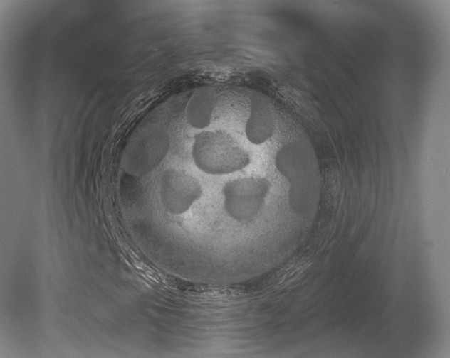 X0000080671105200612151149