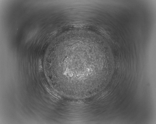 X0000080671106200612151149